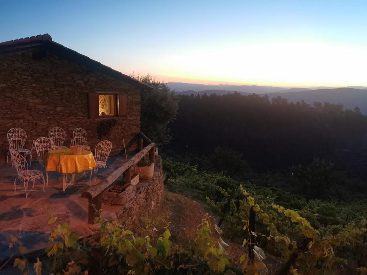 Casa da Vinha em Tabuaço - Douro Exterior foto