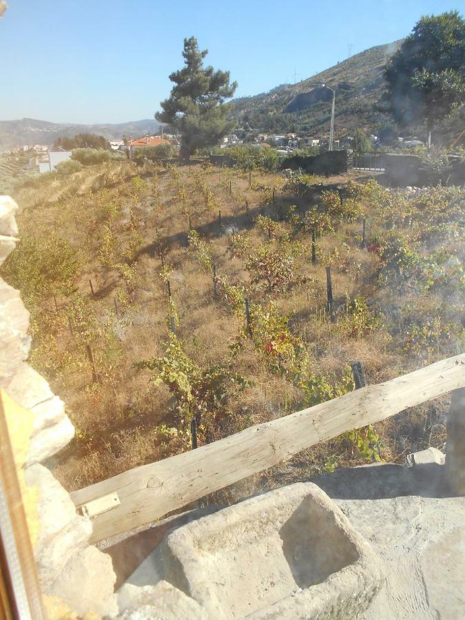 Casa da Vinha em Tabuaço - Douro Exterior foto