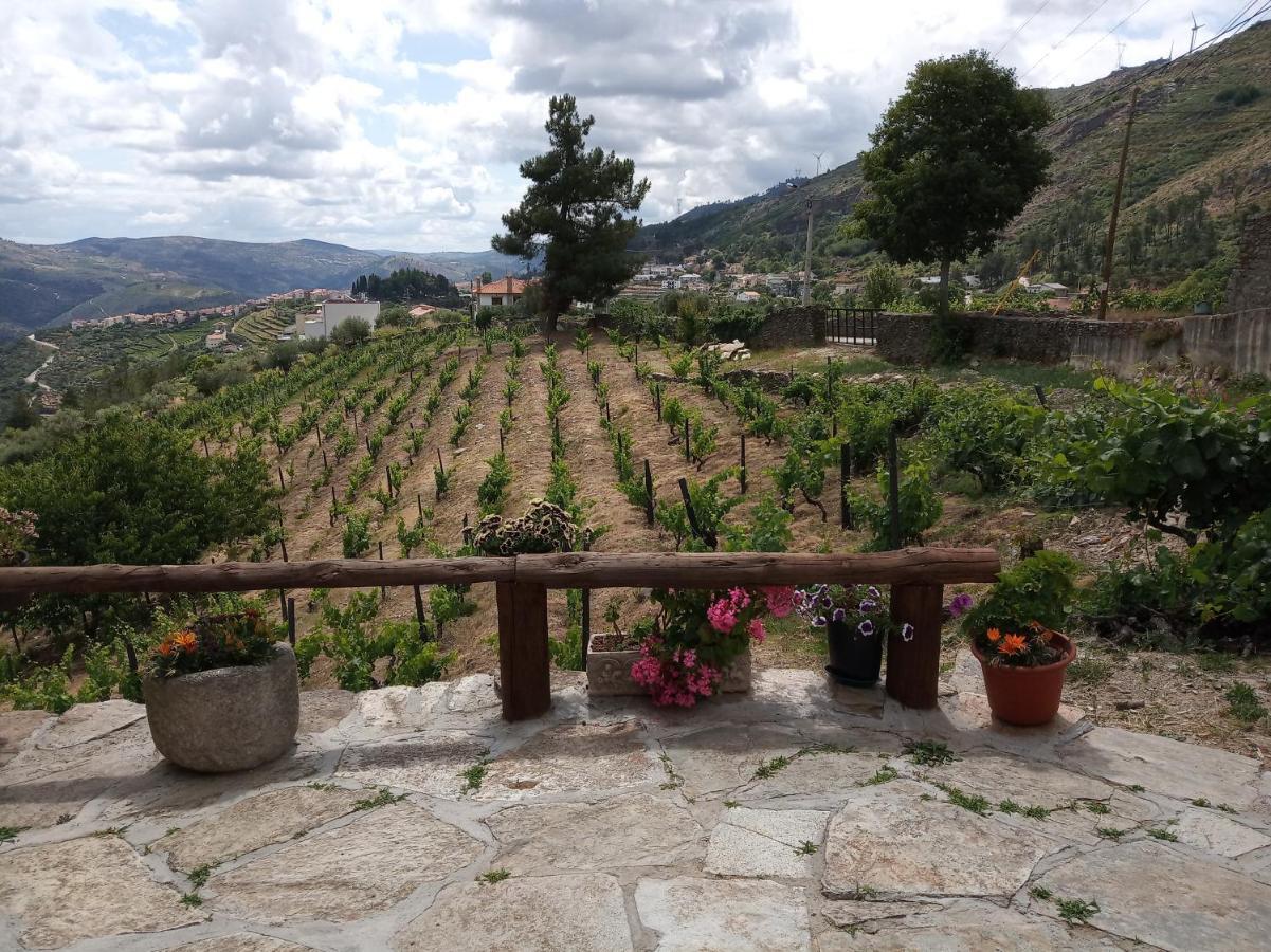 Casa da Vinha em Tabuaço - Douro Exterior foto